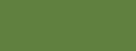 BE - groene achtergrond