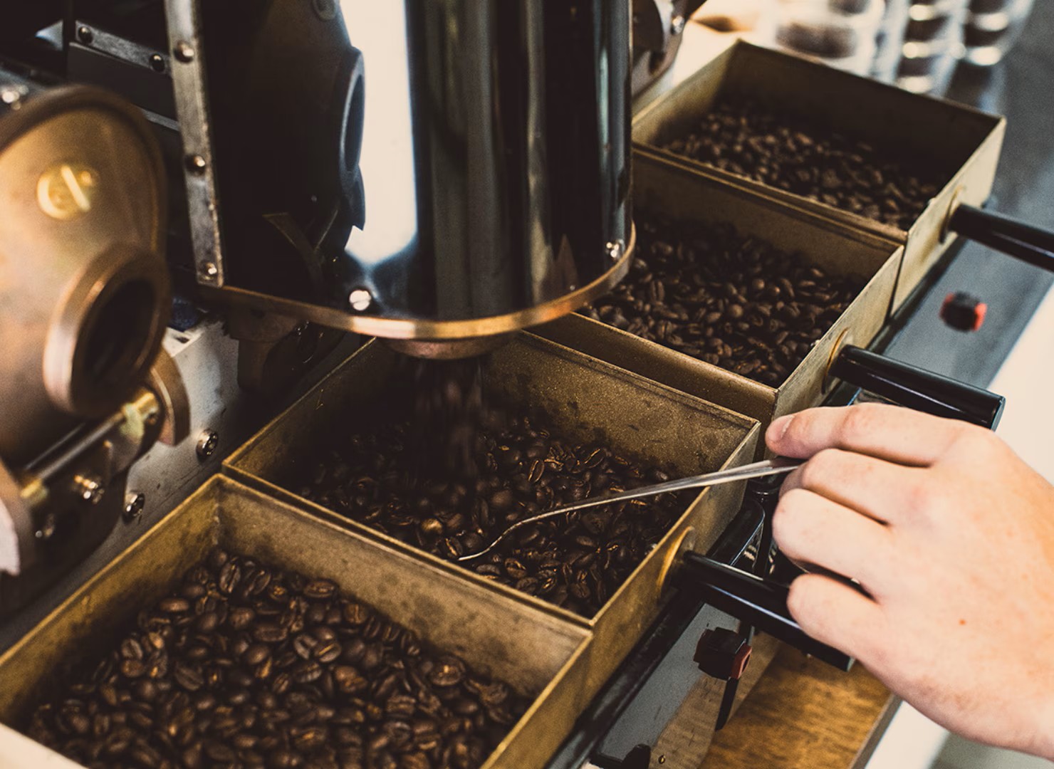 Vers gebrande koffiebonen in bakjes