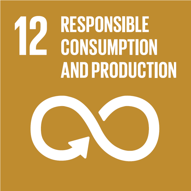 sdg12.PNG